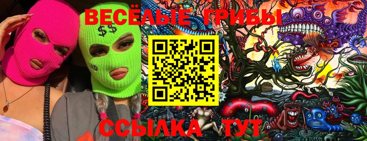 Галлюциногенные грибы ЛСД Ишимбай